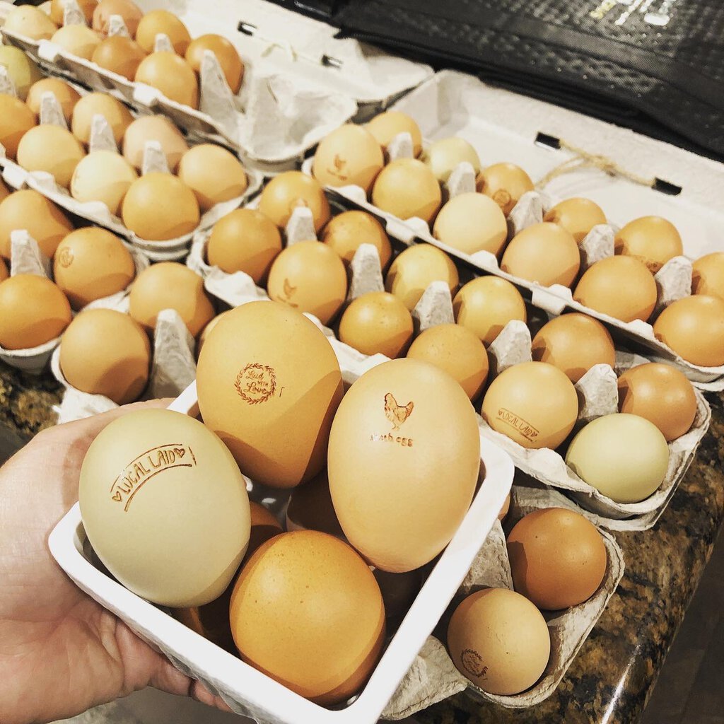 Local Farm Fresh Eggs (Dozen)